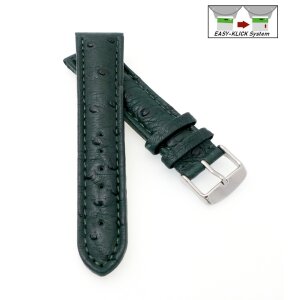 Echt Strauß Easy-Klick Uhrenarmband Modell Liberty grün 24 mm