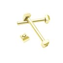 2 Stk. Schraubsteg Edelstahl gold 20 mm Modell CP55,...