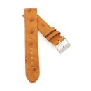 Feines echt Strauß Uhrenarmband Modell Jawa cognac...